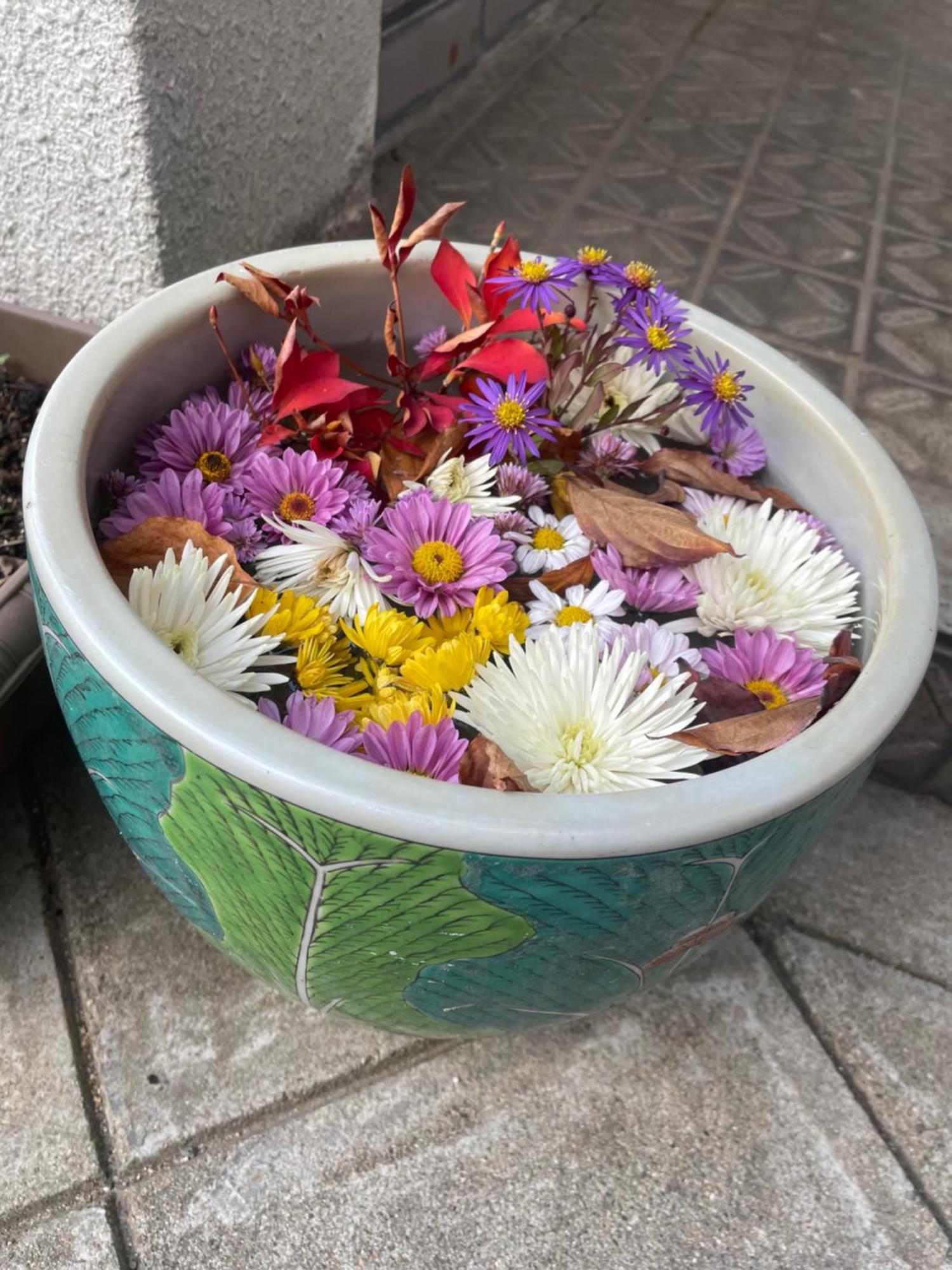 Guest House Chara Hirosaki Exterior photo